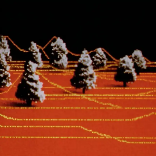 Forest for the Trees by Sine