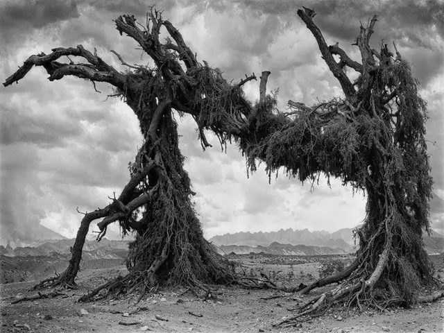 The Dead Valley #011 by Iñigo Bilbao