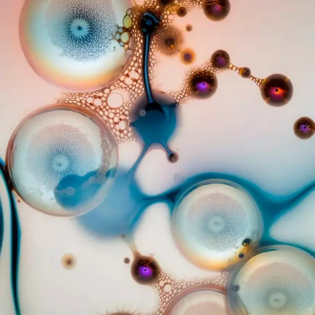 Liquid Breaths by Elsa Carvalho
