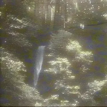 mountain leak by noper