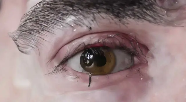 Eye 1 - Wiring (Milo Poelman) by Milo Poelman