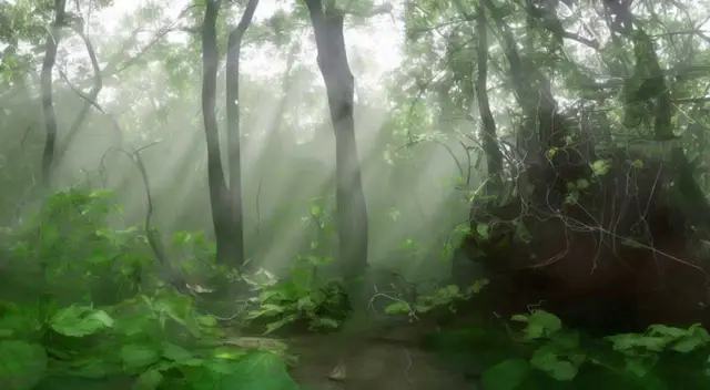 Forest 3 - Threading (Milo Poelman) by Milo Poelman
