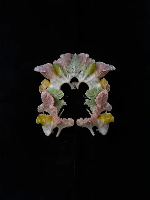 Quartzmycelia Lunar by Emilia Trevisani