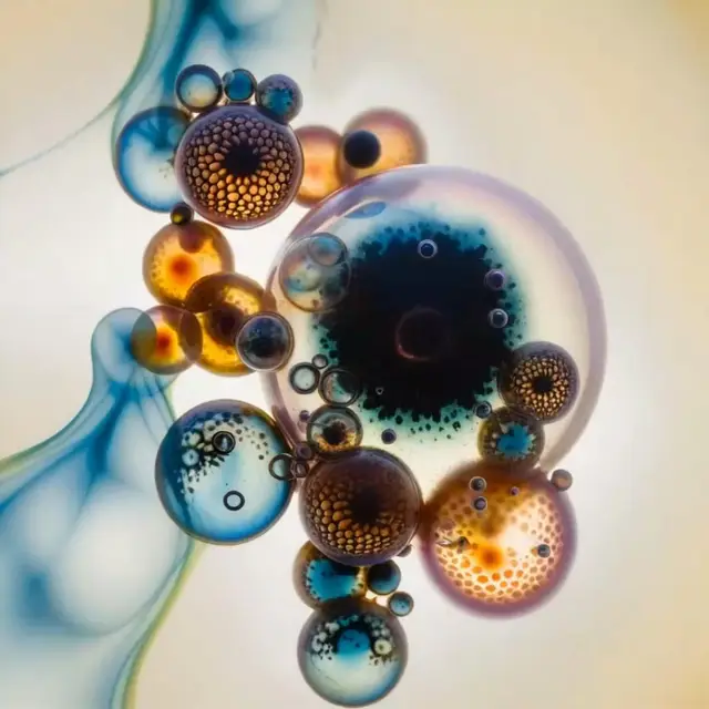 Drifting Bubbles by Elsa Carvalho