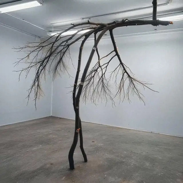 Tree by _tinbrain_