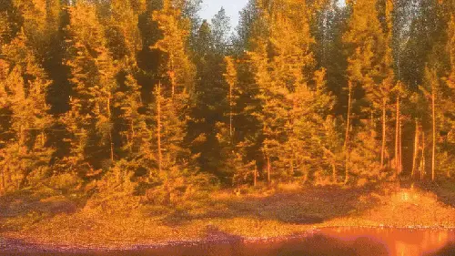 Trust Nobody That Says Orange Fanta Sucks by noper