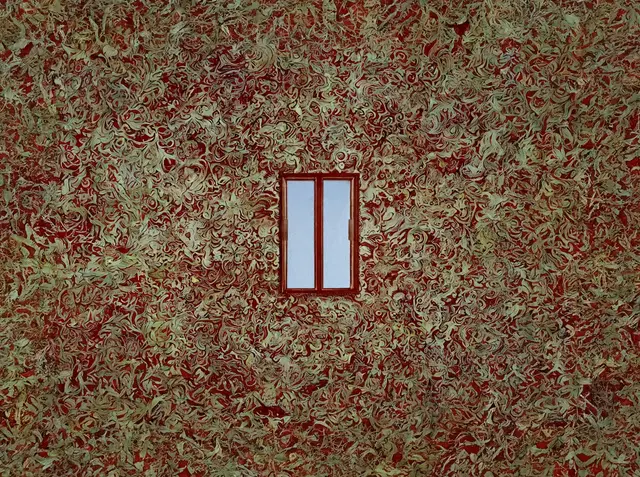 Window 1 (Pete Burkeet) by Pete Burkeet