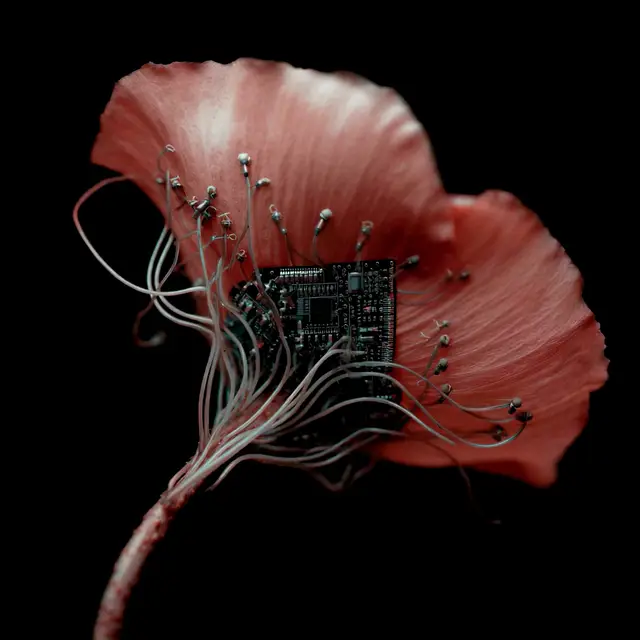 Becomings - Prism Bloom by Karoline Georges