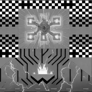 LEGIO X